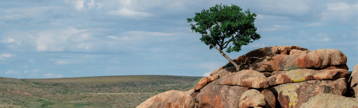 İş Hukuku Uyuşmazlıklarında Stratejik Yaklaşımın Rolü